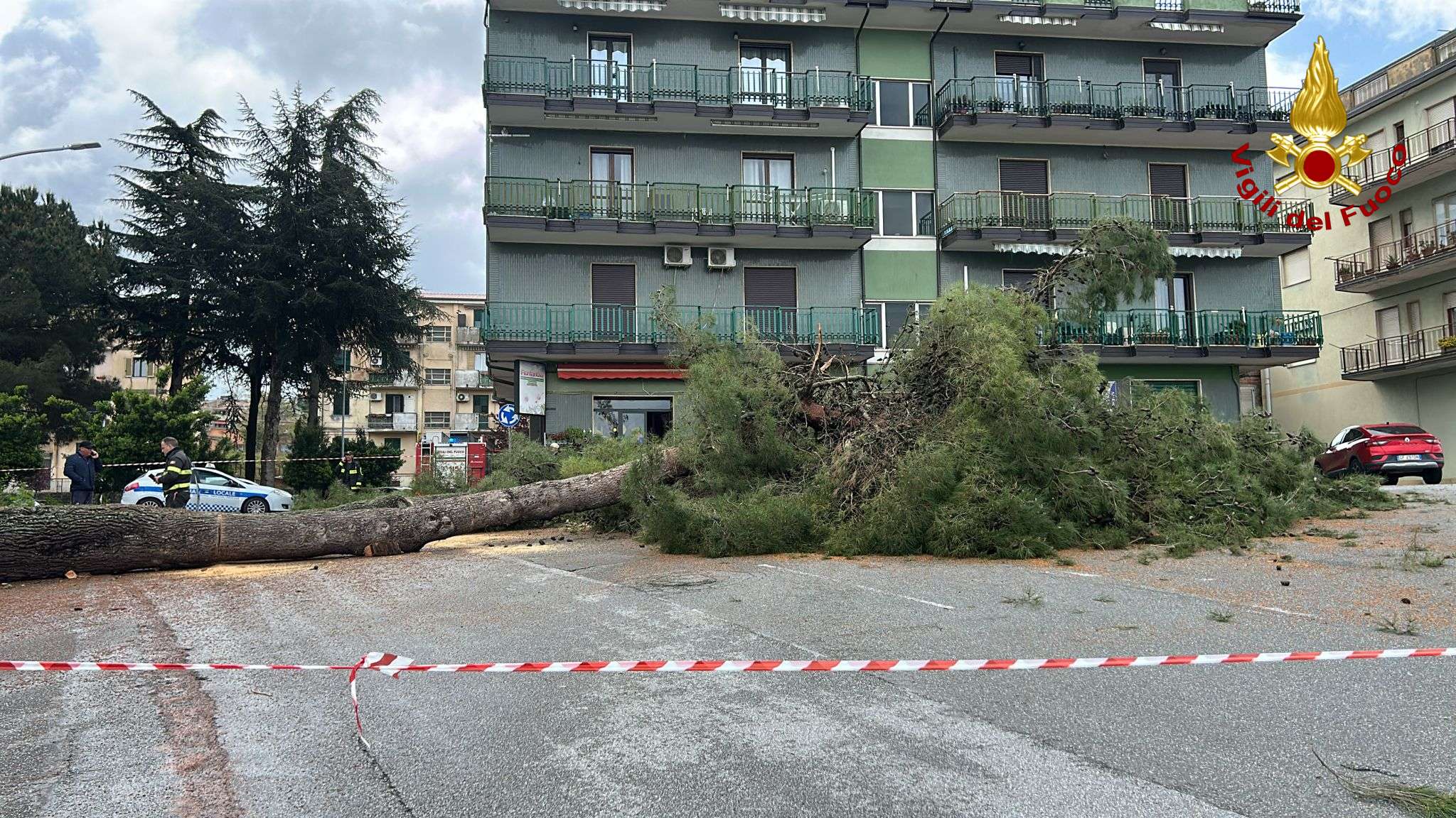 Ancora alberi pericolanti a Vibo, nuovo intervento dei Vigili del fuoco