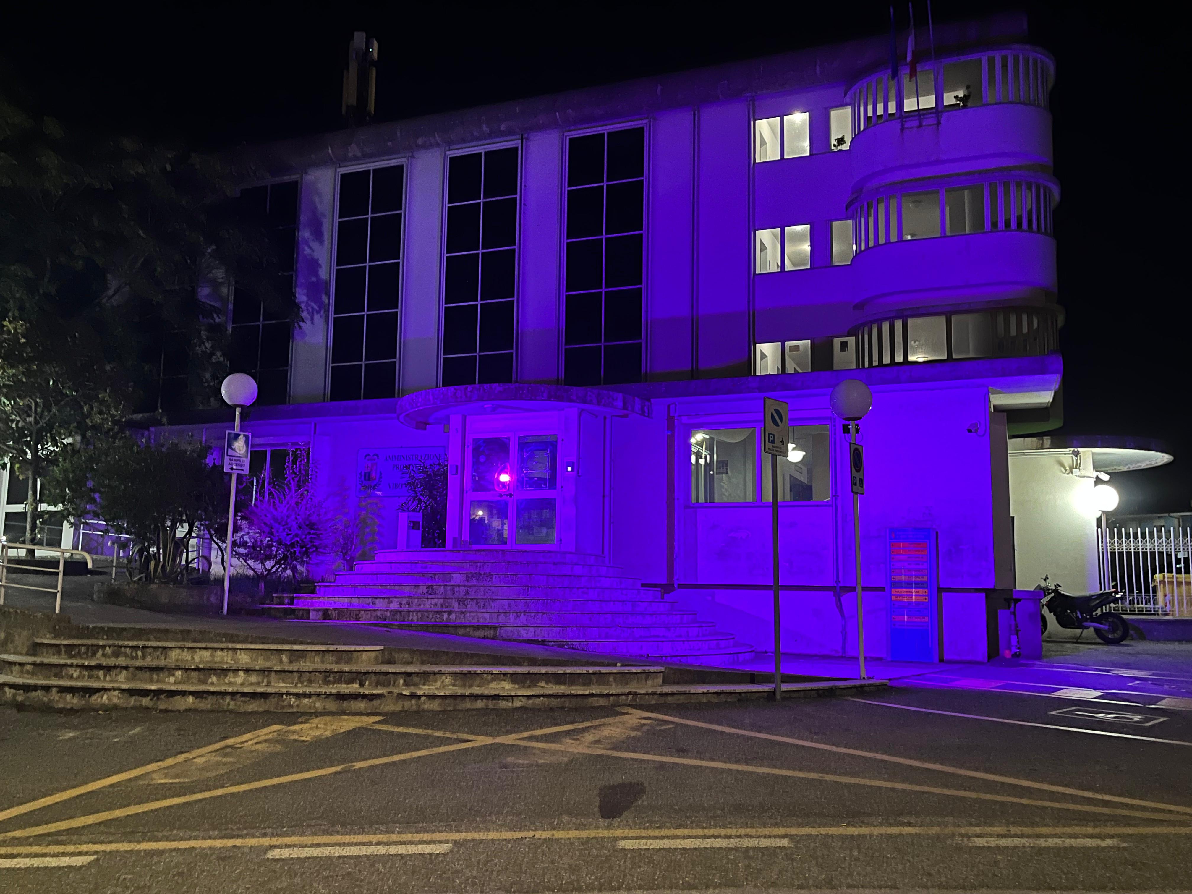Anche la Provincia di Vibo Valentia si illumina di viola