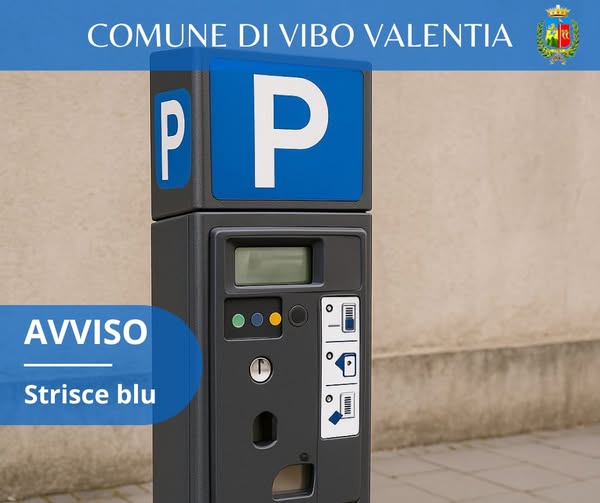 Vibo Valentia, le strisce blu non sono attive ma i parcometri accesi ingannano gli utenti